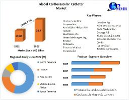 Cardiovascular Catheter Market Size, Share, Top Players And Worldwide Opportunities 