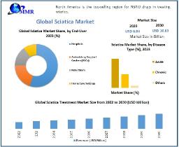 Sciatica Market Key Insights, Profiling Companies and Growth Strategies 