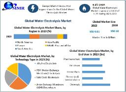 Water Electrolysis Market Size Competitive Landscape and Forecast 2024-2030​