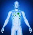 Global Terbutaline Sulfate Market is Projected to reach US$459 million by 2033, at a CAGR of 4.7%.