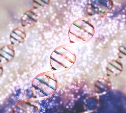 Global DNA Dye Market is projected to reach US$3.89 billion by 2033, at a CAGR of 11.4%.