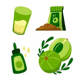 Future of Natural and renewable Glue: Biodegradable Glue Market Forecast 2025-2033