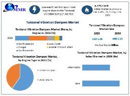 How are OEM and aftermarket segments shaping the market dynamics?
