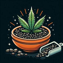 The Medicinal Benefits of Jack Herer: A Natural THC Remedy