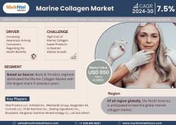 Marine Collagen Market Strategic Insights into Key Players 2024 to 2030