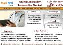 China Laboratory Informatics Market Strategic Insights into Key Players 2024 to 2030