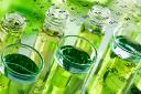 Green and Bio-Solvents Market: Growth Opportunities, Challenges, and Competitive Landscape