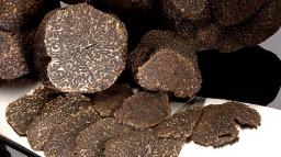 Truffles Market Regional Share, Size, Segmentation and Forecast by 2031