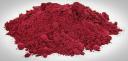 Key Trends Transforming the Beetroot Powder Market and Shaping Future Industry Developments