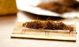 Roll-Your-Own Tobacco Products Market Opportunities Expand Across Global Regions