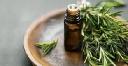 Rosemary Extract Market Dynamics: Understanding Growth Drivers and Industry Challenges