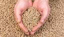 Animal Feed Antioxidants Market: Rising Demand and Growth Trends Driven by Key Factors and Insights