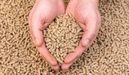 Animal Feed Antioxidants Market: Rising Demand and Growth Trends Driven by Key Factors and Insights