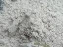 White Cement Market Trends in Residential and Commercial Sectors