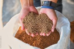 Aquaculture Feed Market Overview: Trends, Growth Drivers, Challenges, and Future Opportunities in Seafood Industry