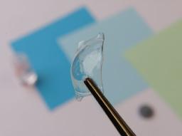 Implantable Collamer Lens Market Grows as Emerging Economies Expand Access to Refractive Solutions