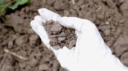 Global Contaminated Soil Remediation Technology Market Report: Trends, Opportunities and Forecast 2025-2031