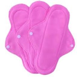 Reusable Sanitary Pads Market Emerging Innovations in Fabric and Absorbency Technologies