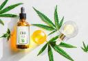 CBD Beverages Market Landscape: Key Regions and Market Share Analysis