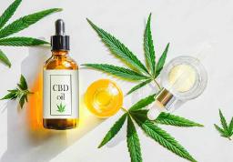 CBD Beverages Market Landscape: Key Regions and Market Share Analysis