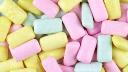 Chewing Gum Market Competitive Analysis: Leading Brands and Market Share Insights