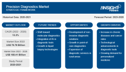 The Precision Diagnostics Market: Key Companies, Key Segments, and Growth Strategies