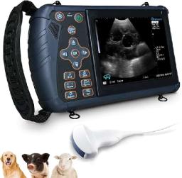 Regional Outlook of the Veterinary Ultrasound Scanner Market Across Major Economies