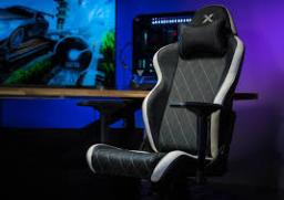 Gaming Chair Market Pricing Strategies Adapted To Consumer Income And Preferences