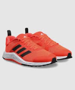 Gym Shoes Market Customer Loyalty Programs Boosting Repeat Purchases Effectively
