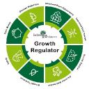 Plant Growth Regulators Market Growth Forecast Influenced by Increasing Global Food Demand