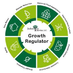 Plant Growth Regulators Market Growth Forecast Influenced by Increasing Global Food Demand