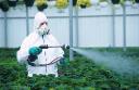 Bioinsecticides Market Integration With Precision Agriculture Technologies Revolutionizing Pest Control Methods