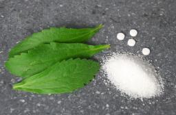 Stevia Extract Market Potential and Long-Term Prospects in Emerging Geographic Regions