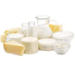UHT Dairy Products Market Insights: Key Drivers of Growth in Developing Nations