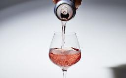 Canned Wine Market Overcoming Perception Challenges to Capture Broader Audience and Premium Segments