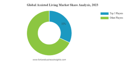 Assisted Living Market Overview 2024–2032 & Competitive Landscape