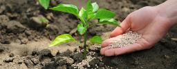Foliar Fertilizers Market Scenario Transforms with Rising Demand for Organic and Bio-Based Fertilizer Alternatives Globally