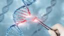 Gene Therapy Market Funding Trends: Investment Flows and Startup Activities