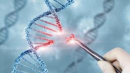 Gene Therapy Market Funding Trends: Investment Flows and Startup Activities