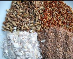 Feed Enzymes Market: Scope, Growth Trends, Applications, Opportunities, Challenges, Innovations, and Regional Insights