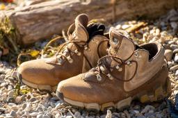 Hiking Footwear Market Pricing Strategies: Premium vs. Budget Offerings