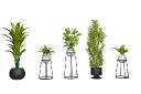 Artificial Plants Market Summary Shows Growth Through Innovation and Sustainability