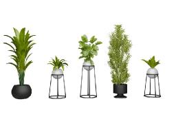 Artificial Plants Market Summary Shows Growth Through Innovation and Sustainability