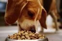 The Future of the Pet Food Market: Smart Labeling, AI Formulations, and Tech Integration