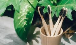 Bamboo Toothbrush Market Survey Results and In-Depth Buyer Persona Analysis