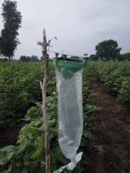 Agricultural Pheromones Market analysis through Porter's Five Forces framework insights