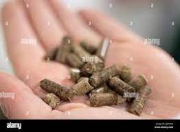 Insect-based Fertilizer Market maturing amid rising biological crop input demand