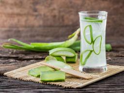 Aloe Vera Drink Market Surges as Youth Opt for Natural Energy and Detox Solutions
