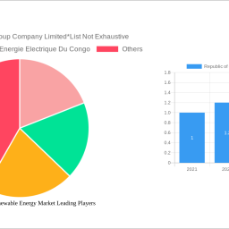 republic-of-congo-renewable-energy-market-2024-2032-analysis-trends-competitor-dynamics-and-growth-opportunities