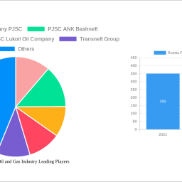 russia-federation-oil-and-gas-industry-300-300-cagr-growth-outlook-2024-2030